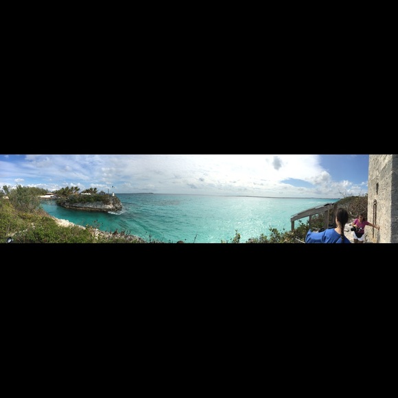 Meet your Posher, Dorinda - Picture 1 of 1